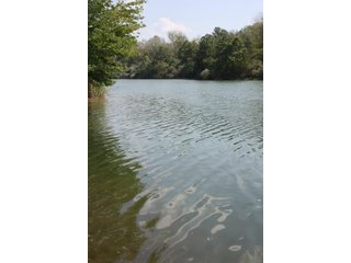 Property photo 63 - 419 +/- Acres offered in 6 Tracts, Land Auction